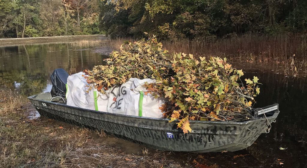 New Quota Hunt Opportunity for Waterfowl MidSouth Hunting & Fishing News