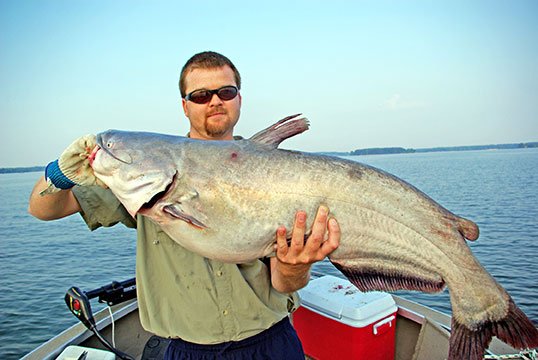 The Best Catfishing States in the Mid-South – Mid-South Hunting ...