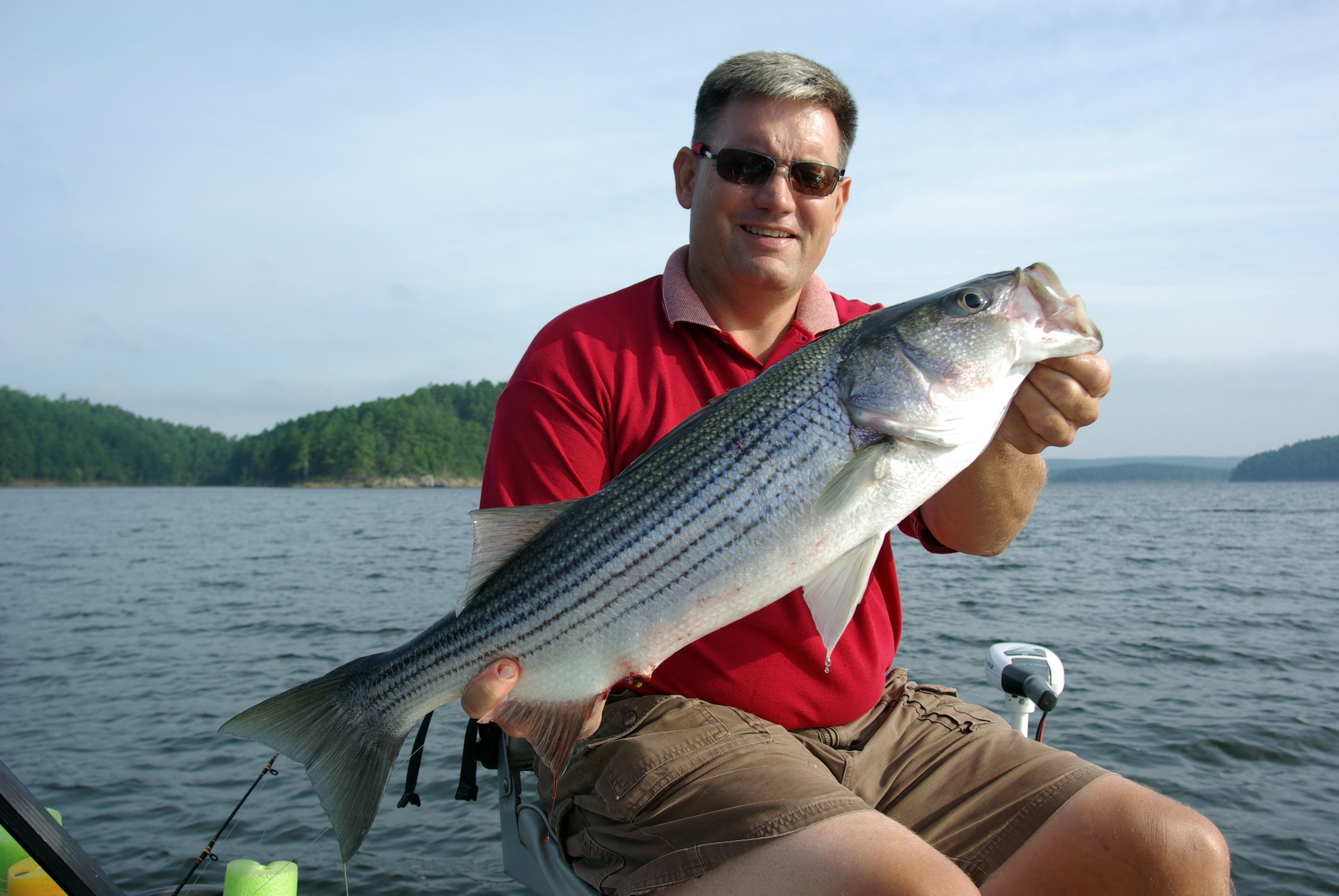 Delicious Ways to Cook Striped Bass – Mid-South Hunting & Fishing News