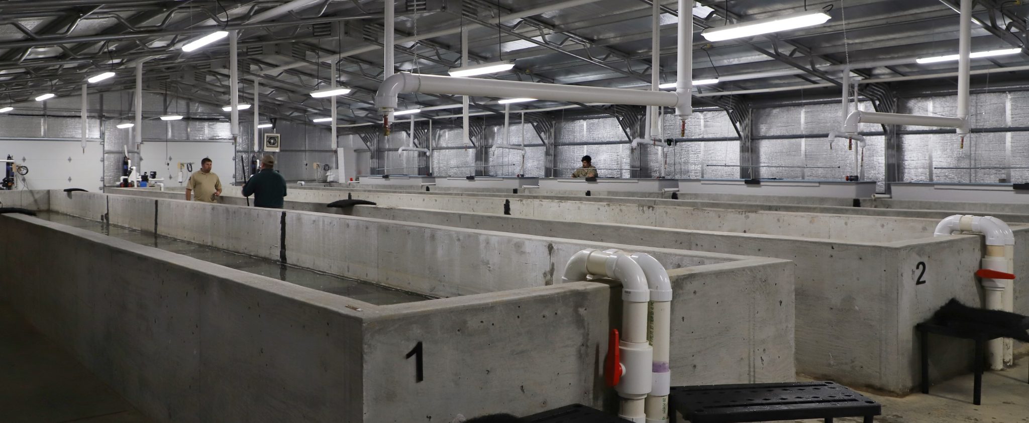 Quail Management Research Project, Fish Hatchery Updates Presented