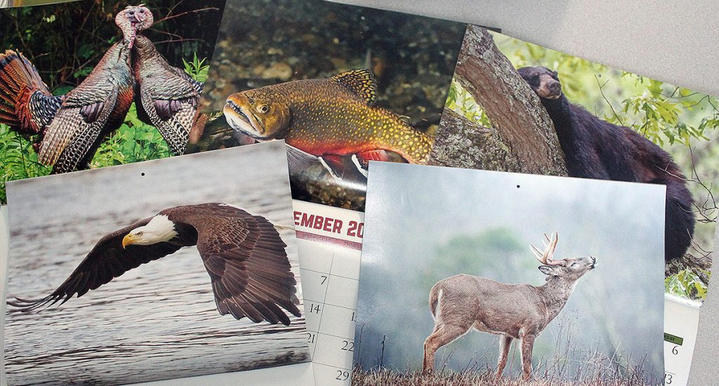 Entries Being Accepted For 2023 Tennessee Wildlife Calendar Photo