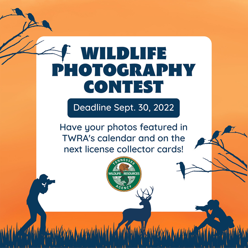 entries-being-accepted-for-2023-tennessee-wildlife-calendar-photo